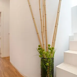 Genteel Santa Teresa Apartament